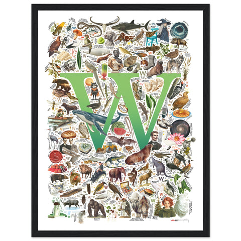 "W is for Wonder" — a Renard Roux alphabet poster with English W words (green version)