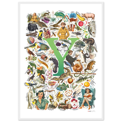 "Y is for Yonder" — a Renard Roux alphabet poster with English Y words (green version)