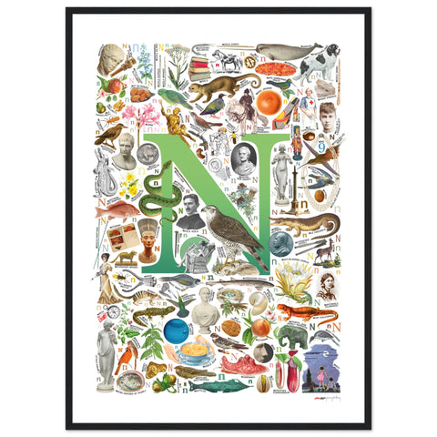 "N is for Nature" — a Renard Roux alphabet poster with English N words (green version)
