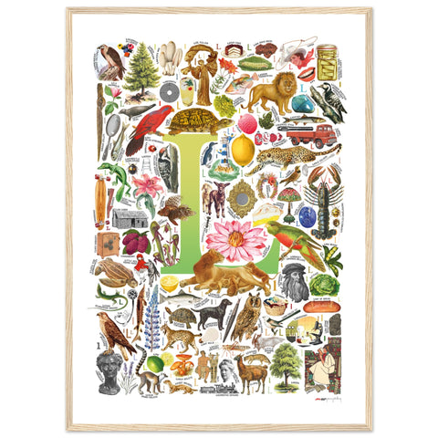 "L is for Learning" — a Renard Roux alphabet poster with English L words (chartreuse version)