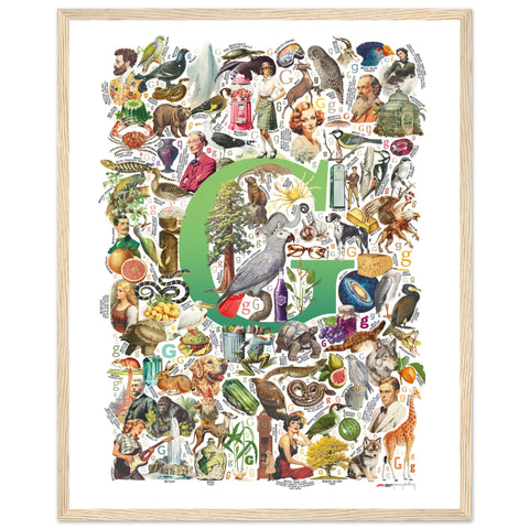 "G is for Great" — a Renard Roux alphabet poster with English G words (green version)