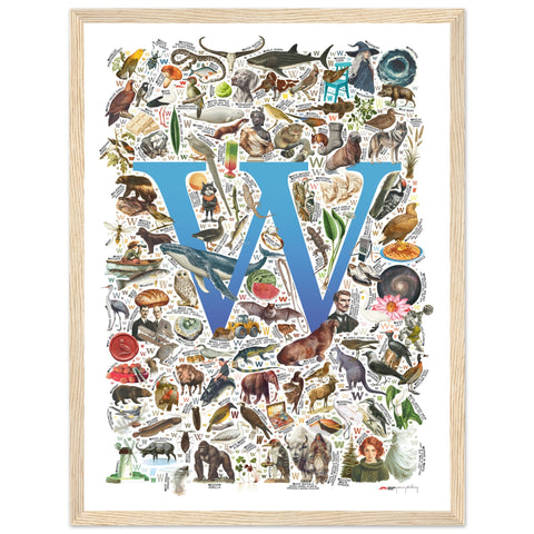 "W is for Wonder" — a Renard Roux alphabet poster with English W words (blue version)