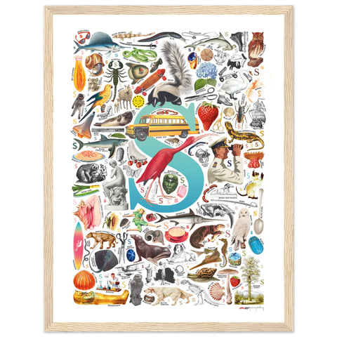"S is for Surprise" — a Renard Roux alphabet poster with English S words (turquoise version)