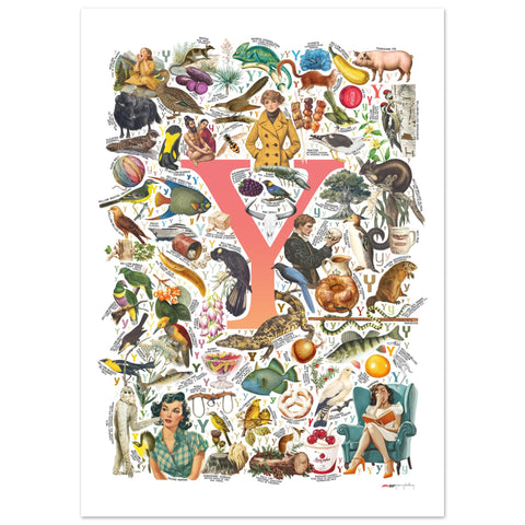 "Y is for Yonder" — a Renard Roux alphabet poster with English Y words (red version)