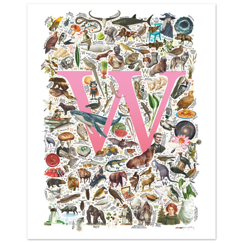 "W is for Wonder" — a Renard Roux alphabet poster with English W words (pink version)