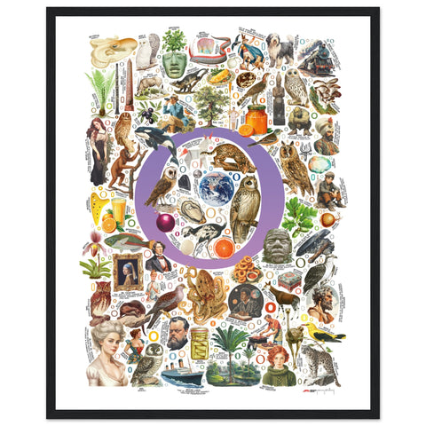 "O is for Original" — a Renard Roux alphabet poster with English O words (purple version)