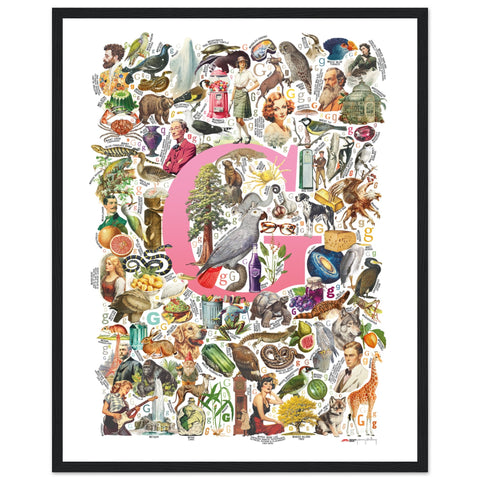 "G is for Great" — a Renard Roux alphabet poster with English G words (pink version)