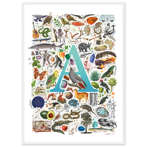 "A is for Adventure" — a Renard Roux alphabet poster with English A words (turquoise version)