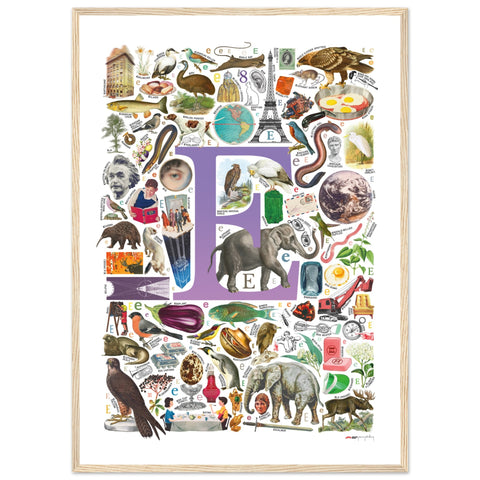 "E is for Explore" — a Renard Roux alphabet poster with English E words (purple version)