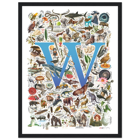"W is for Wonder" — a Renard Roux alphabet poster with English W words (blue version)
