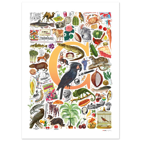 "C is for Curious" — a Renard Roux alphabet poster with English C words (yellow version)