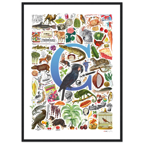 "C is for Curious" — a Renard Roux alphabet poster with English C words (blue version)