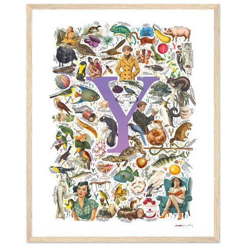 "Y is for Yonder" — a Renard Roux alphabet poster with English Y words (purple version)