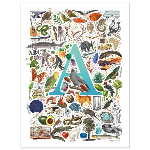 "A is for Adventure" — a Renard Roux alphabet poster with English A words (turquoise version)