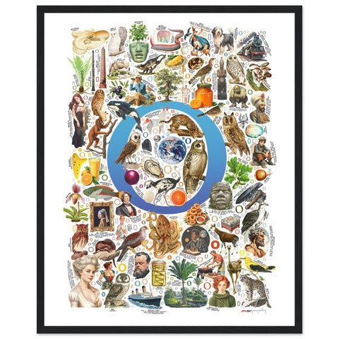 "O is for Original" — a Renard Roux alphabet poster with English O words (blue version)