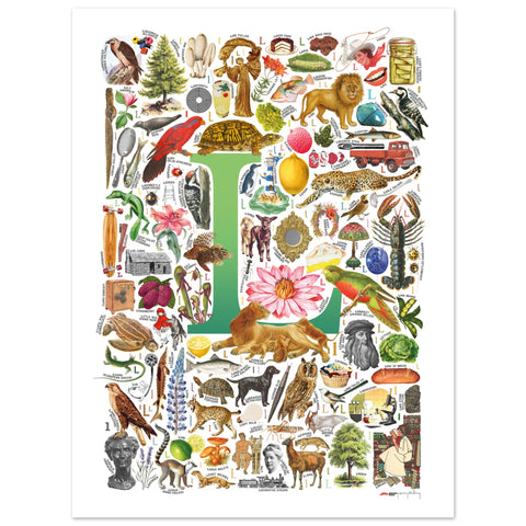 "L is for Learning" — a Renard Roux alphabet poster with English L words (green version)