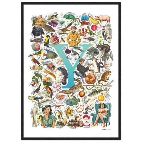 "Y is for Yonder" — a Renard Roux alphabet poster with English Y words (turquoise version)