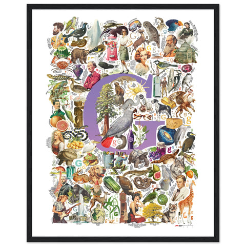 "G is for Great" — a Renard Roux alphabet poster with English G words (purple version)