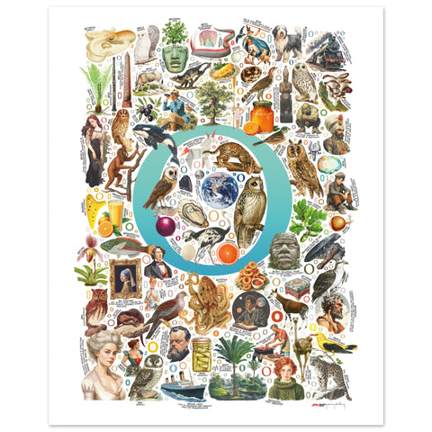 "O is for Original" — a Renard Roux alphabet poster with English O words (turquoise version)