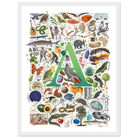 "A is for Adventure" — a Renard Roux alphabet poster with English A words (green version)