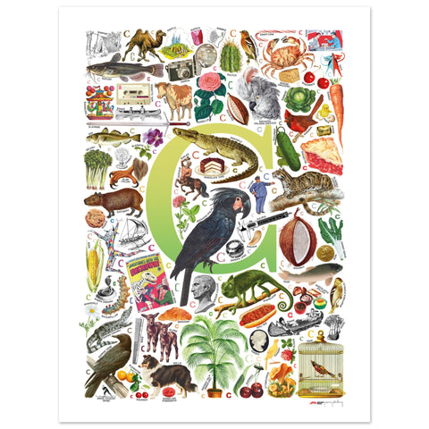 "C is for Curious" — a Renard Roux alphabet poster with English C words (chartreuse version)