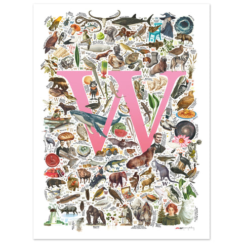 "W is for Wonder" — a Renard Roux alphabet poster with English W words (pink version)