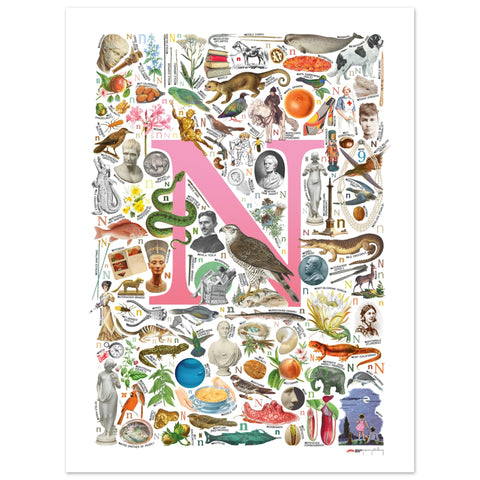 "N is for Nature" — a Renard Roux alphabet poster with English N words (pink version)