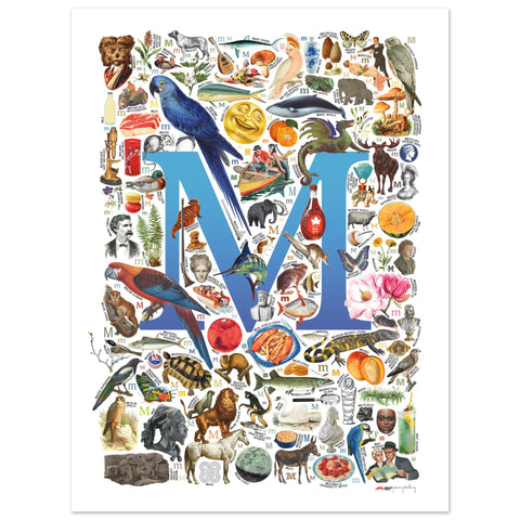 "M is for Magical" — a Renard Roux alphabet poster with English M words (blue version)
