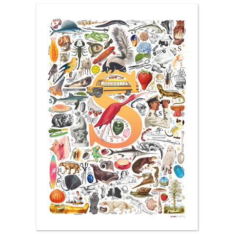 "S is for Surprise" — a Renard Roux alphabet poster with English S words (yellow version)