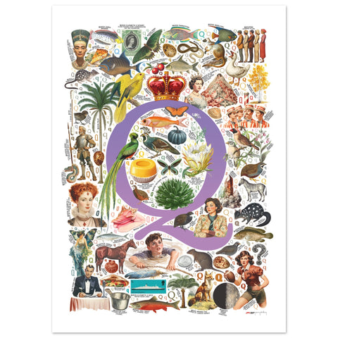 "Q is for Quest" — a Renard Roux alphabet poster with English Q words (purple version)