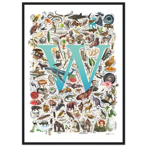 "W is for Wonder" — a Renard Roux alphabet poster with English W words (turquoise version)