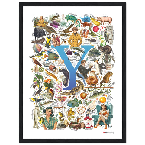 "Y is for Yonder" — a Renard Roux alphabet poster with English Y words (blue version)