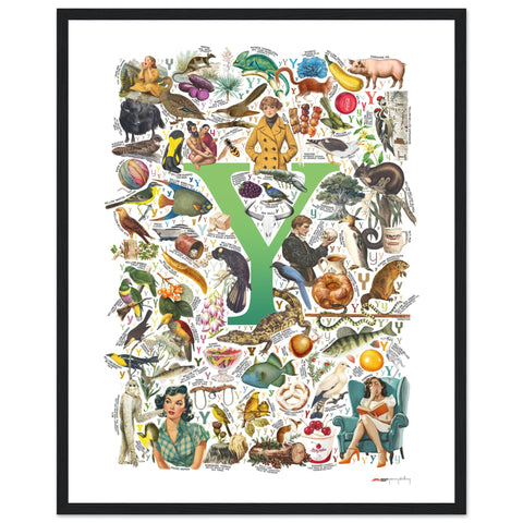 "Y is for Yonder" — a Renard Roux alphabet poster with English Y words (green version)