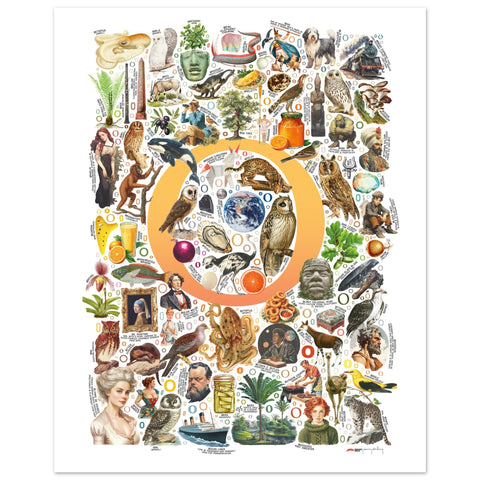 "O is for Original" — a Renard Roux alphabet poster with English O words (yellow version)