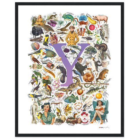 "Y is for Yonder" — a Renard Roux alphabet poster with English Y words (purple version)