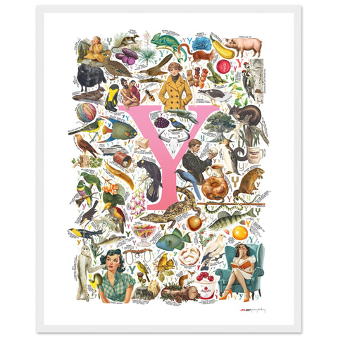 "Y is for Yonder" — a Renard Roux alphabet poster with English Y words (pink version)