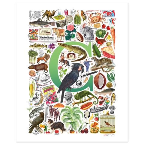 "C is for Curious" — a Renard Roux alphabet poster with English C words (green version)