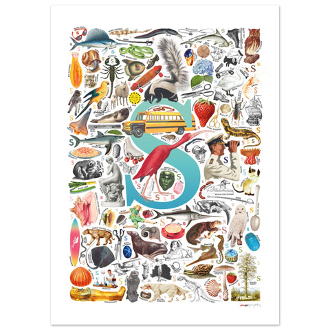 "S is for Surprise" — a Renard Roux alphabet poster with English S words (turquoise version)