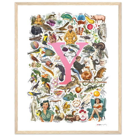 "Y is for Yonder" — a Renard Roux alphabet poster with English Y words (pink version)