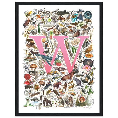"W is for Wonder" — a Renard Roux alphabet poster with English W words (pink version)