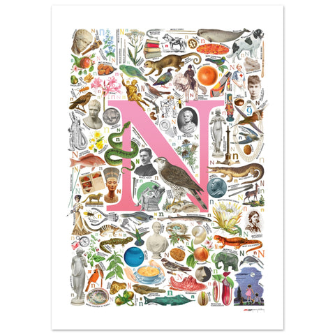 "N is for Nature" — a Renard Roux alphabet poster with English N words (pink version)
