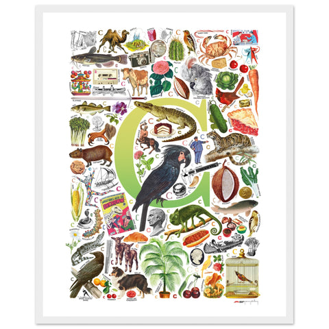 "C is for Curious" — a Renard Roux alphabet poster with English C words (chartreuse version)