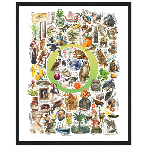 "O is for Original" — a Renard Roux alphabet poster with English O words (chartreuse version)