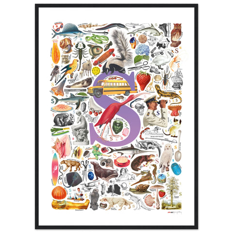 "S is for Surprise" — a Renard Roux alphabet poster with English S words (purple version)