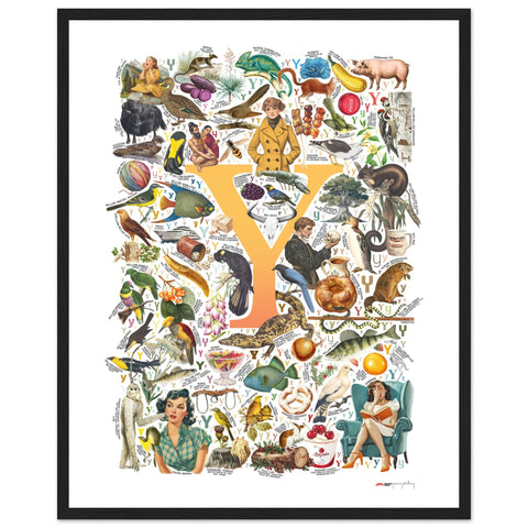 "Y is for Yonder" — a Renard Roux alphabet poster with English Y words (yellow version)