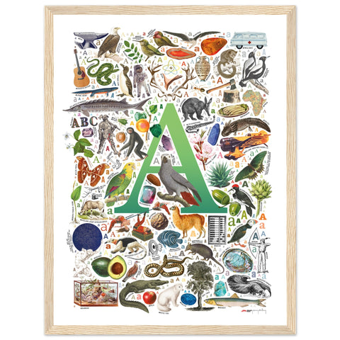 "A is for Adventure" — a Renard Roux alphabet poster with English A words (green version)