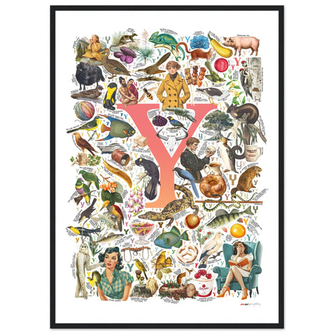 "Y is for Yonder" — a Renard Roux alphabet poster with English Y words (red version)