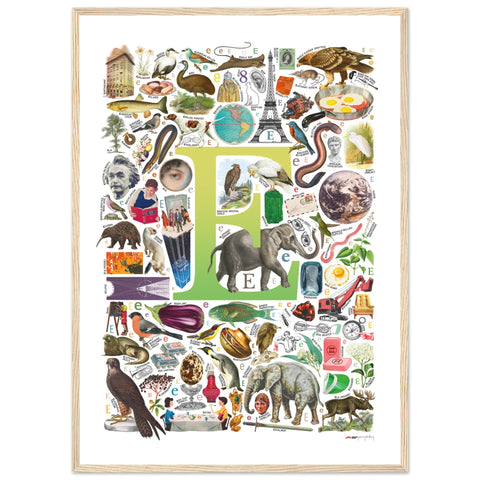 "E is for Explore" — a Renard Roux alphabet poster with English E words (chartreuse version)