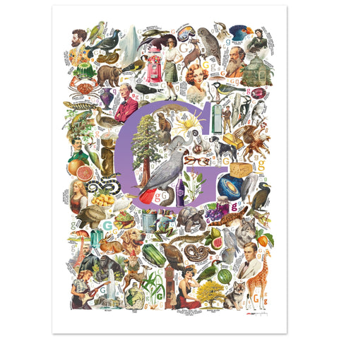 "G is for Great" — a Renard Roux alphabet poster with English G words (purple version)