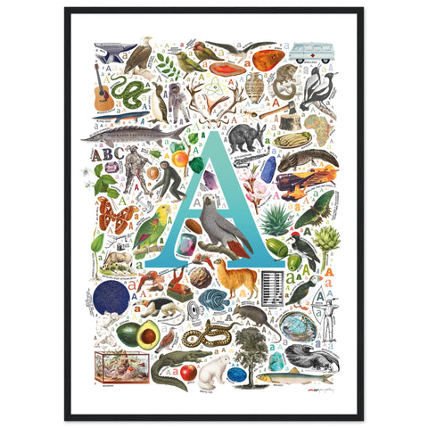 "A is for Adventure" — a Renard Roux alphabet poster with English A words (turquoise version)